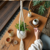 Hollywood Dream Macrame Plant Hanger Duo Hollywood Dream Macrame Plant Hanger Duo