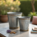 Hollywood Glam Rustic Galvanized Planter Trio Hollywood Glam Rustic Galvanized Planter Trio