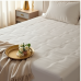 Hollywood Dream Plush Pillow Top Mattress Hollywood Dream Plush Pillow Top Mattress