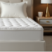 Hollywood Dream Plush Pillow Top Mattress Hollywood Dream Plush Pillow Top Mattress