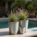 Hollywood Glam Rustic Galvanized Planter Trio Hollywood Glam Rustic Galvanized Planter Trio
